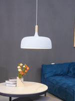 Acorn Pendant Light - Lamp Outdoor