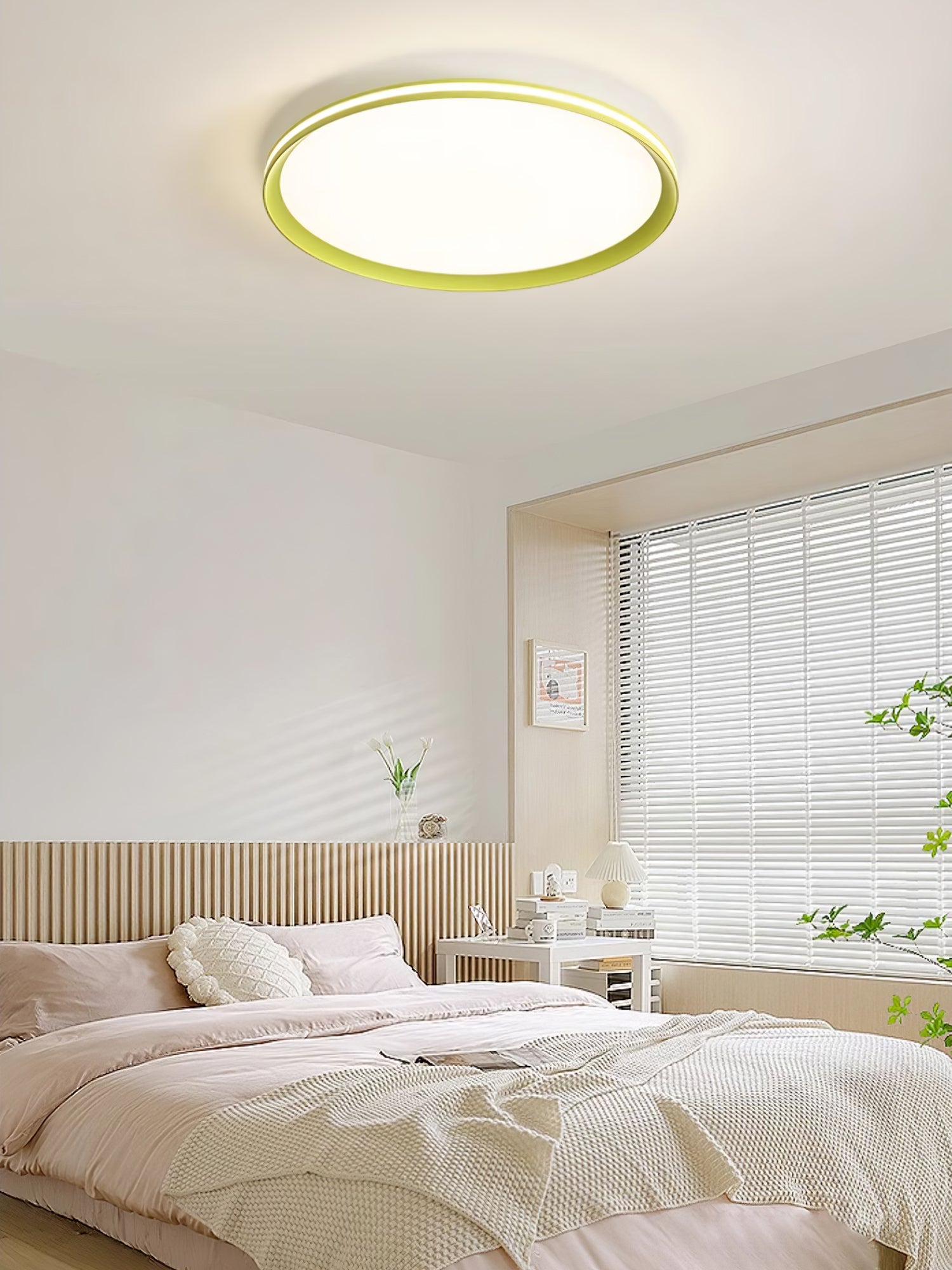 Acrylic Circular LED Ceiling Light - Lamp Outdoor
