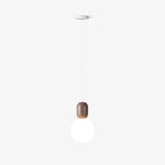 Acrylic Two Ball Pendant Light - Lamp Outdoor