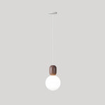 Acrylic Two Ball Pendant Light - Lamp Outdoor