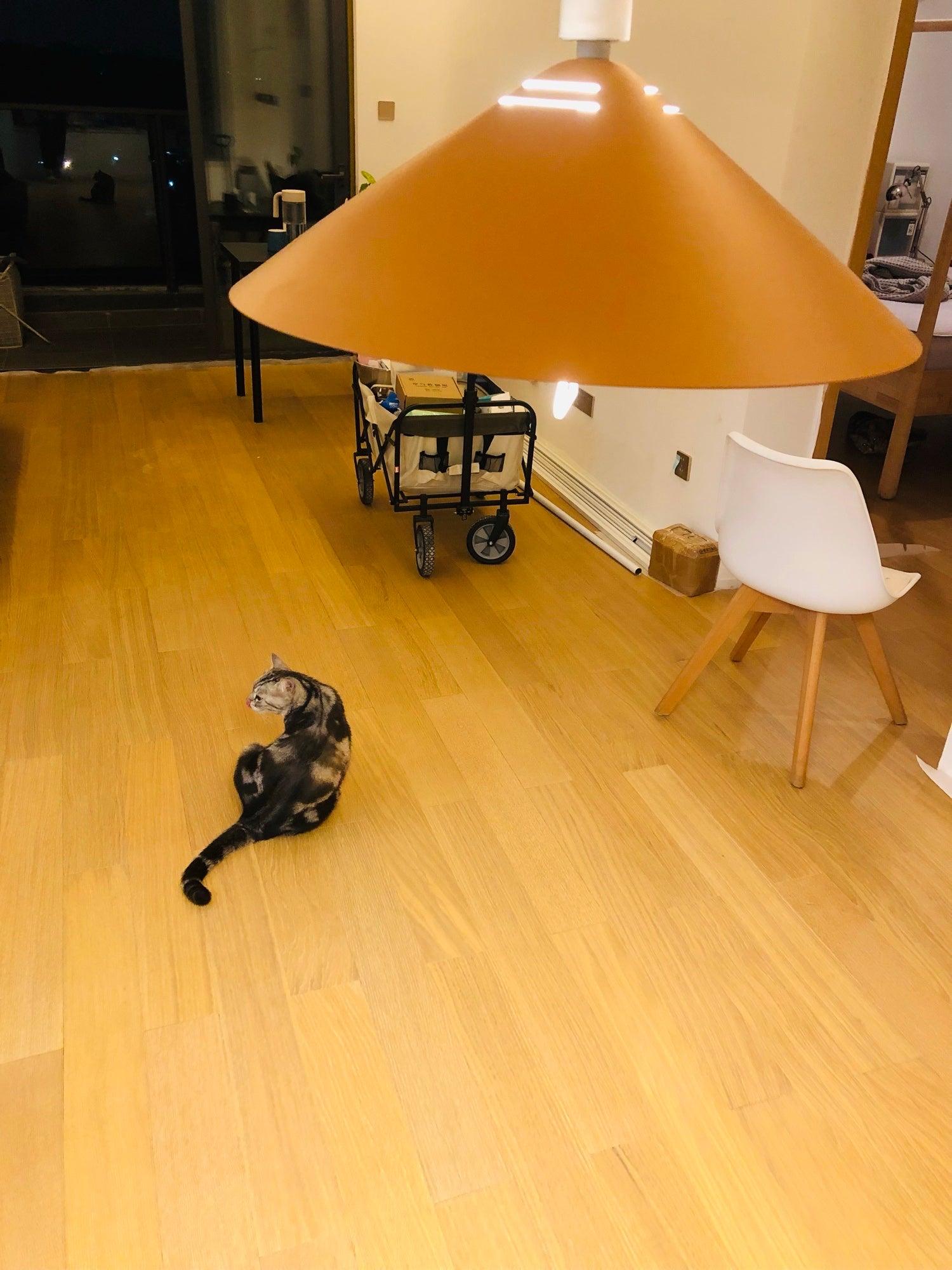 Agnes Retro Pendant Lamp - Lamp Outdoor