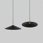 Vezoror Conical Metal Pendant Light - Lamp Outdoor
