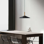 Vezoror Conical Metal Pendant Light - Lamp Outdoor