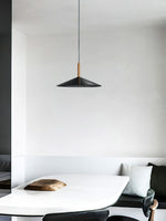 Vezoror Conical Metal Pendant Light - Lamp Outdoor