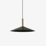 Vezoror Conical Metal Pendant Light - Lamp Outdoor