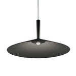 Vezoror Conical Metal Pendant Light - Lamp Outdoor