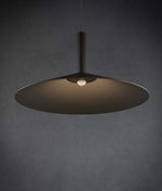 Vezoror Conical Metal Pendant Light - Lamp Outdoor