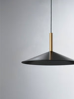Vezoror Conical Metal Pendant Light - Lamp Outdoor