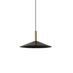 Vezoror Conical Metal Pendant Light - Lamp Outdoor