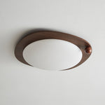 Amalphi Ceiling Light - Lamp Outdoor
