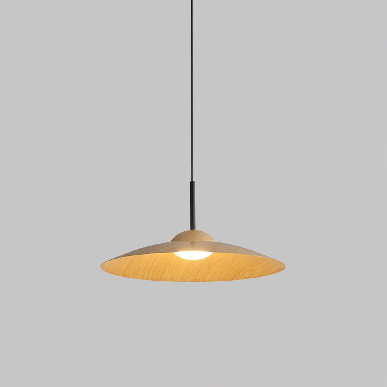 Arcadian Pendant Light - Lamp Outdoor