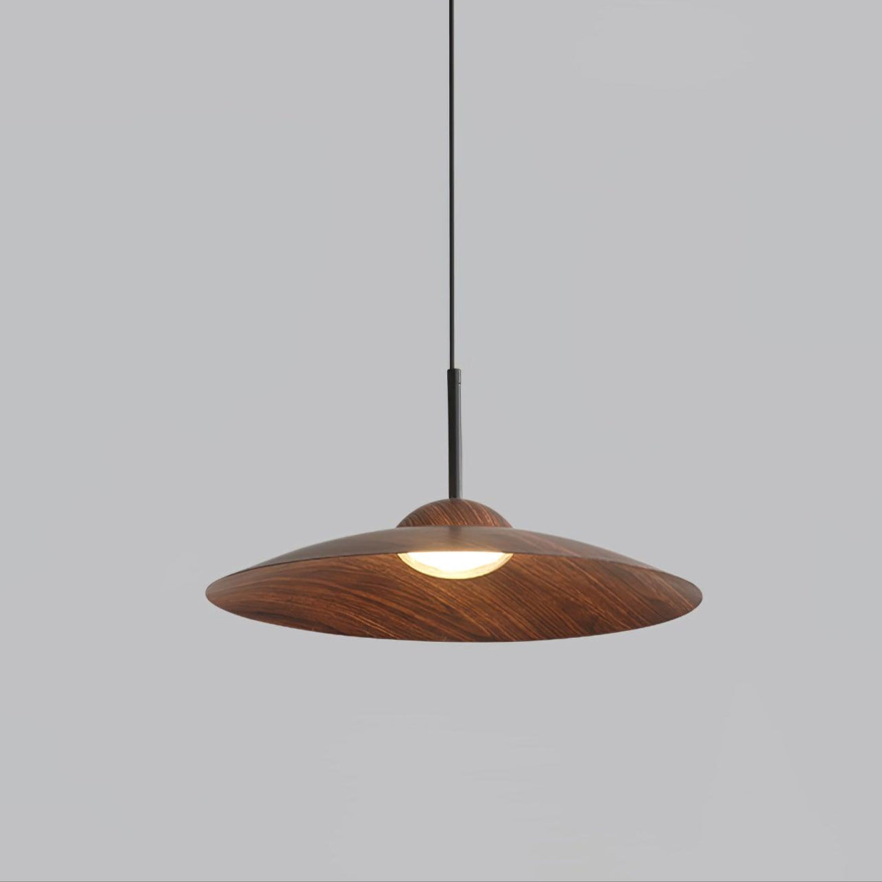 Arcadian Pendant Light - Lamp Outdoor