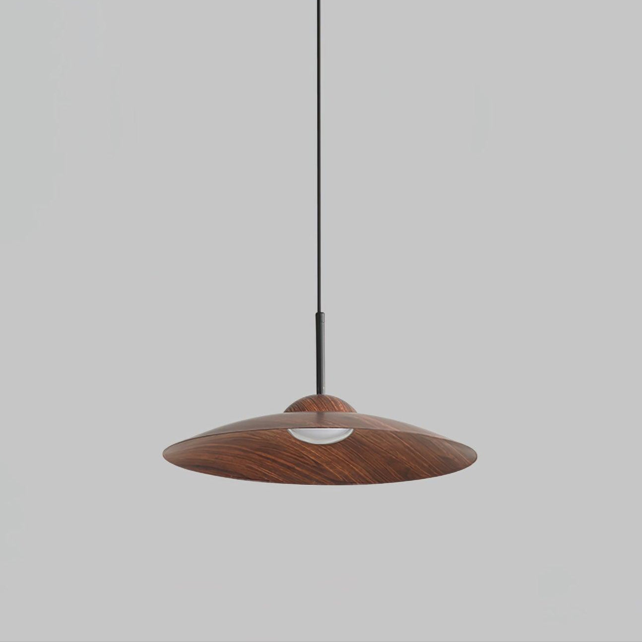 Arcadian Pendant Light - Lamp Outdoor