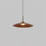 Arcadian Pendant Light - Lamp Outdoor