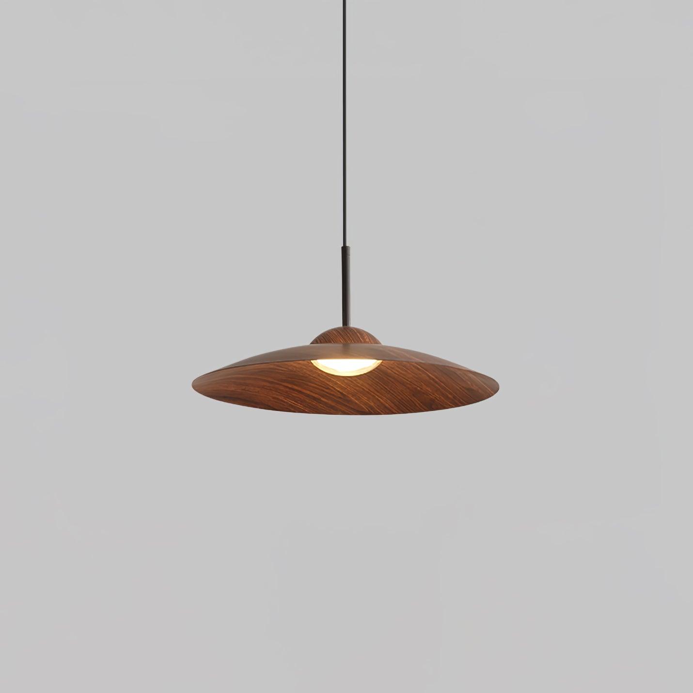 Arcadian Pendant Light - Lamp Outdoor