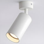 Arlo Accent Spotlight - Lamp Outdoor