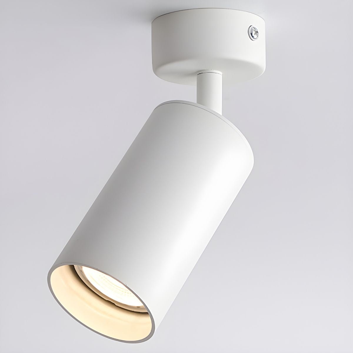 Arlo Accent Spotlight - Lamp Outdoor