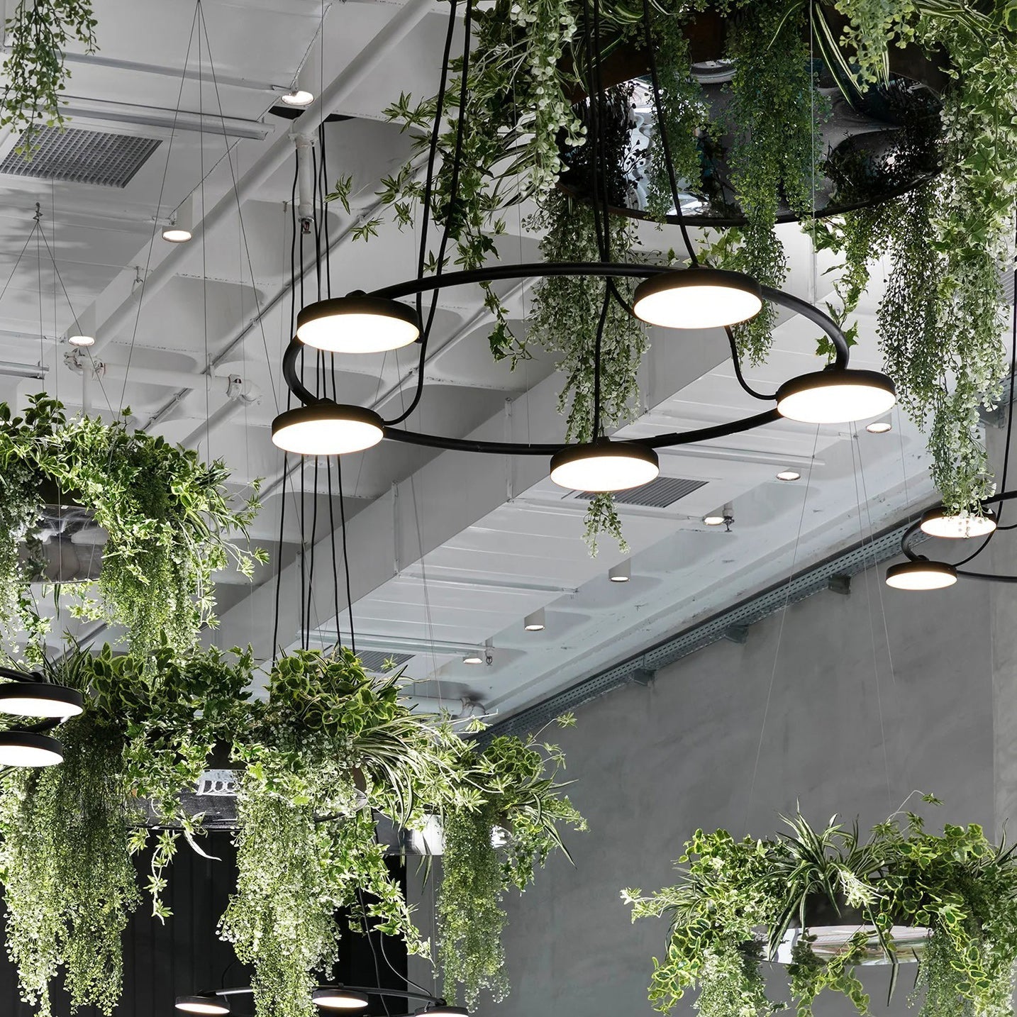 Aro Modern Chandelier