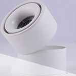 Artemis Surface Downlight - Lamp Outdoor