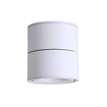 Artemis Surface Downlight - Lamp Outdoor