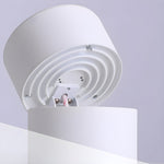 Artemis Surface Downlight - Lamp Outdoor