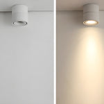 Artemis Surface Downlight - Lamp Outdoor