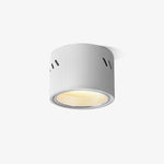Aven Spotlight - Lamp Outdoor