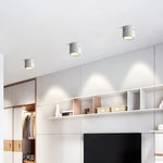Aven Spotlight - Lamp Outdoor