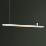 Axis T Pendant Light - Lamp Outdoor