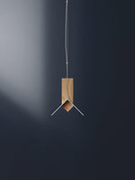 Axis T Pendant Light - Lamp Outdoor