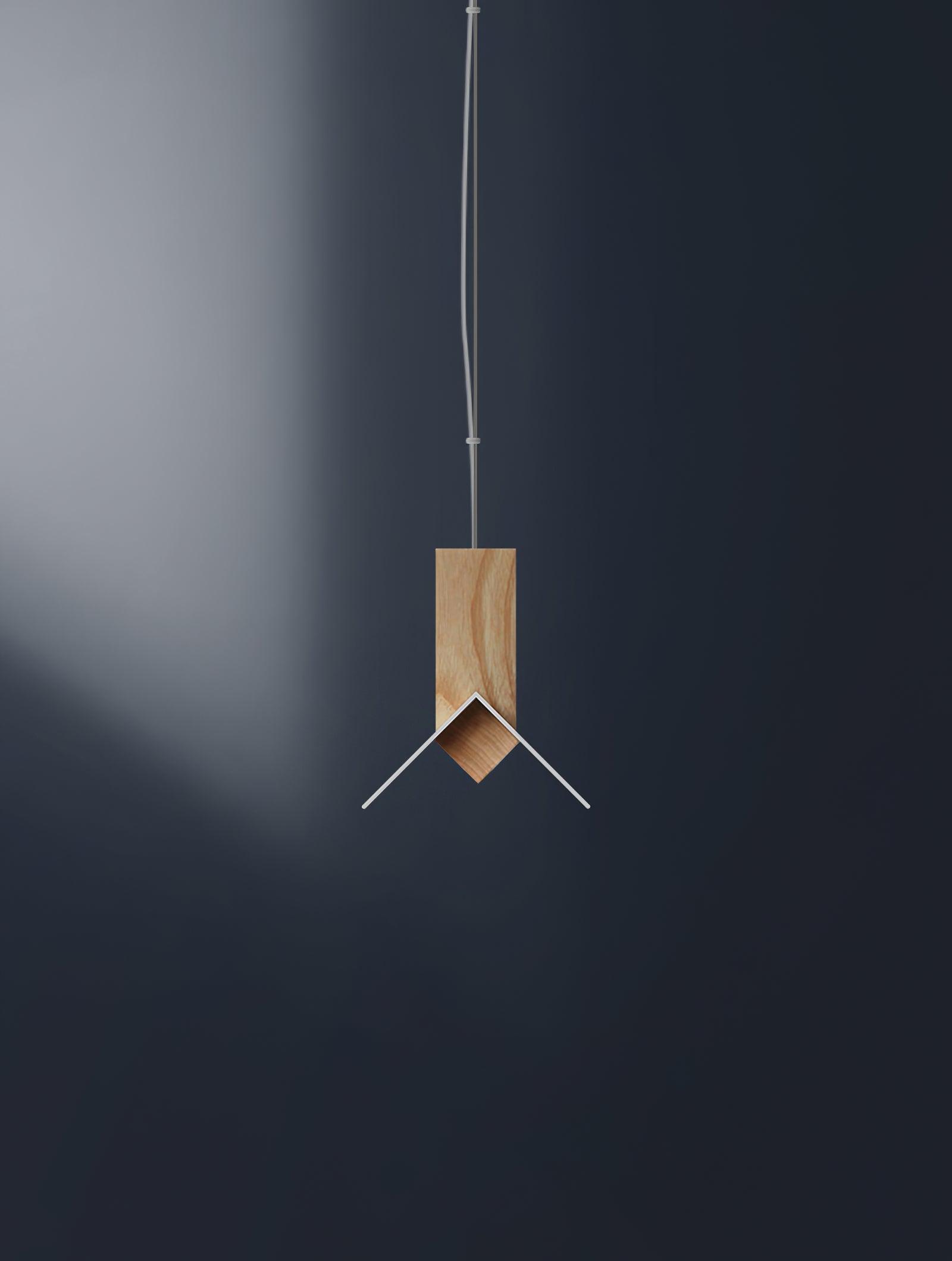 Axis T Pendant Light - Lamp Outdoor