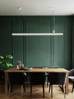 Axis T Pendant Light - Lamp Outdoor