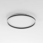 Olen Flush Mount Ceiling Light - Lamp Outdoor