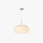 Janine Drum Shape Pendant Light - Lamp Outdoor
