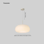 Janine Drum Shape Pendant Light - Lamp Outdoor