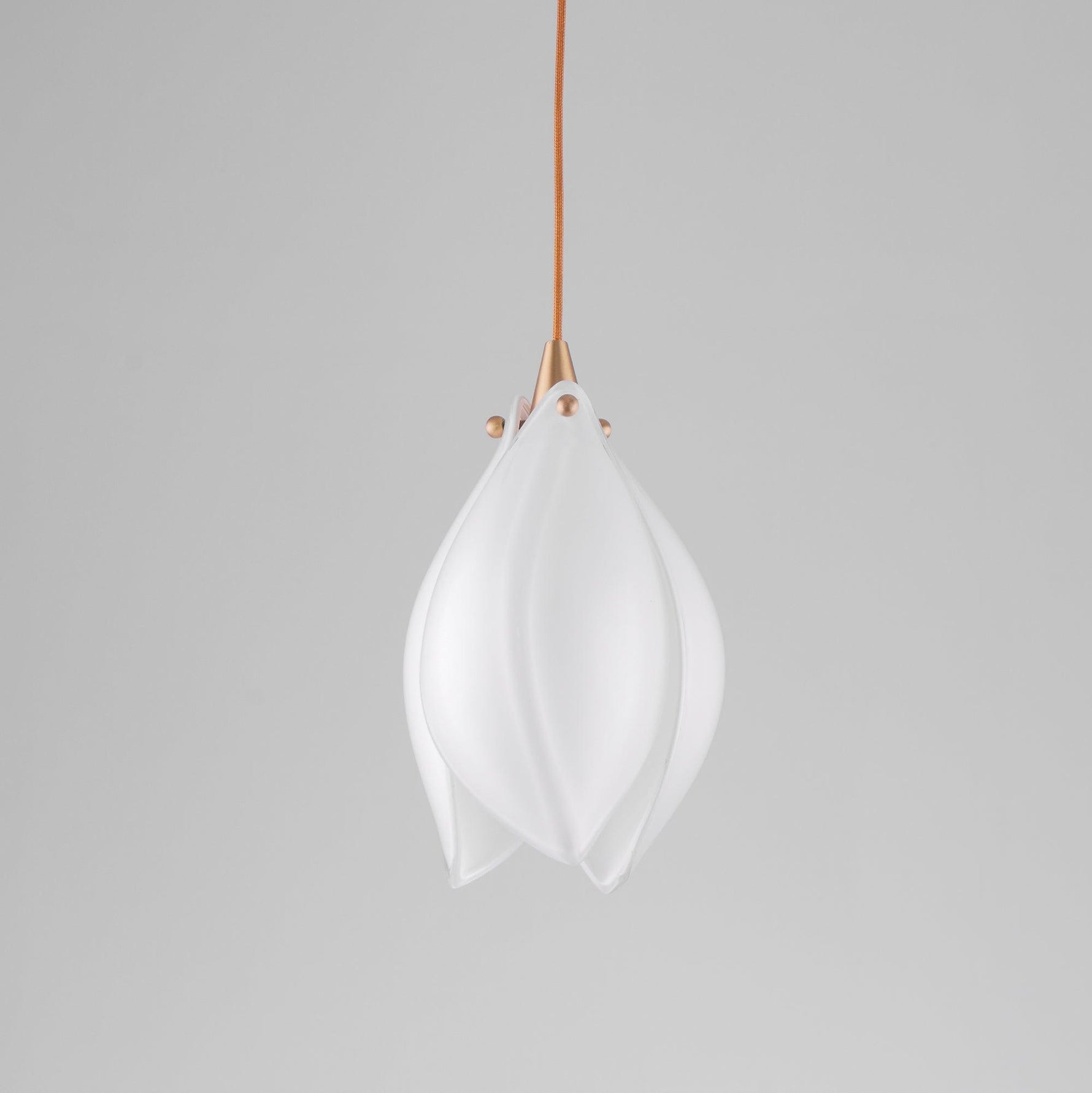 Celeste Flora Pendant Light - Lamp Outdoor