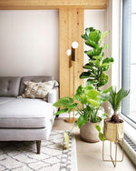 Bower Pendant lamp - Lamp Outdoor