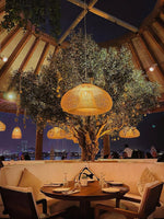 Braided Rattan Pendant Lamp - Lamp Outdoor