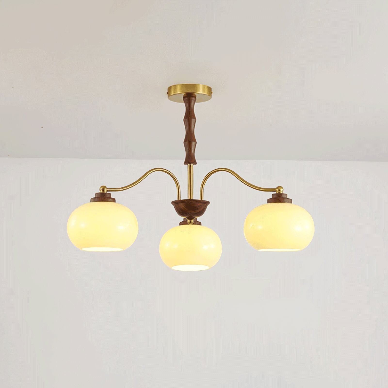 Persimmon Glass Globe Chandelier - Lamp Outdoor