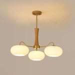 Brass Wooden Persimmon Chandelier - Lamp Outdoor