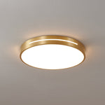 Caelum Ceiling Light - Lamp Outdoor