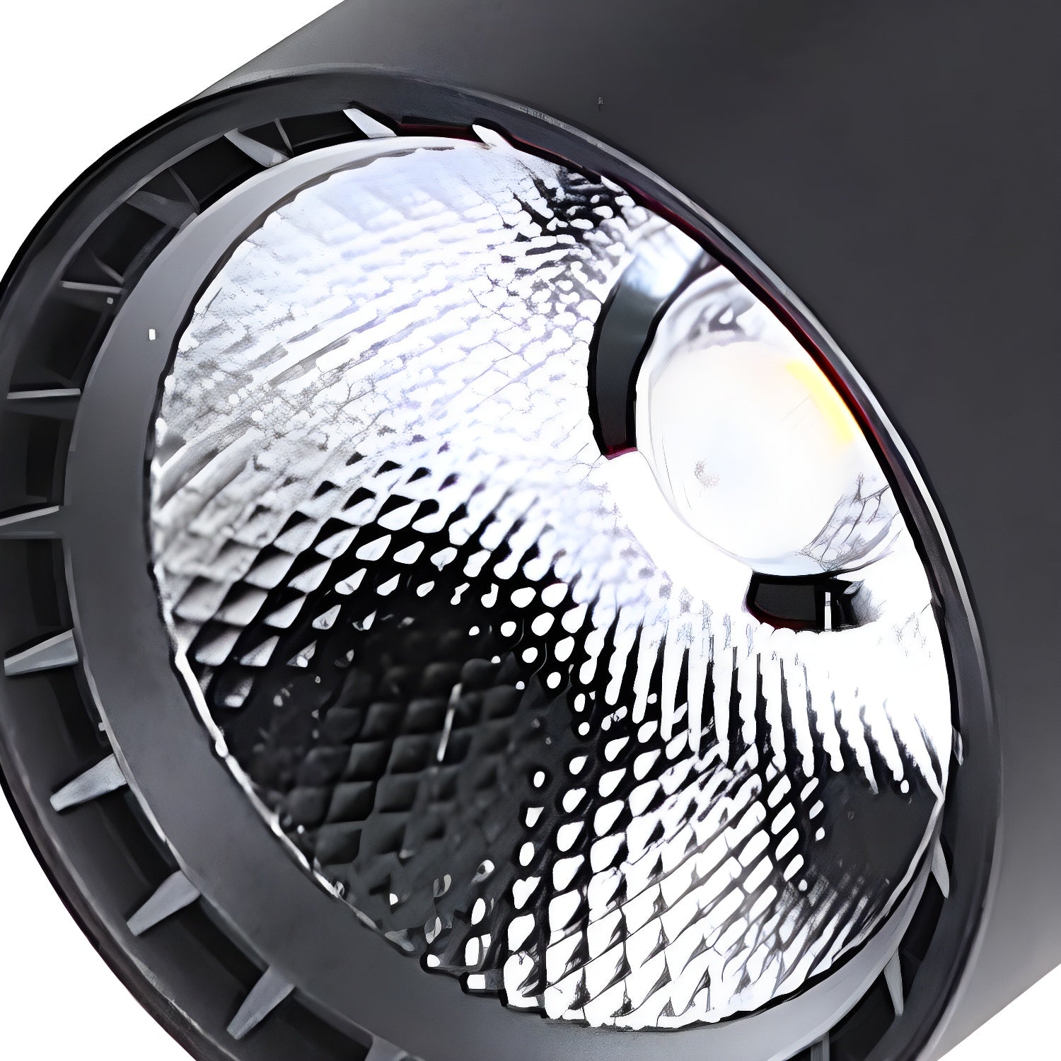 Calla Beam Spotlight - Lamp Outdoor