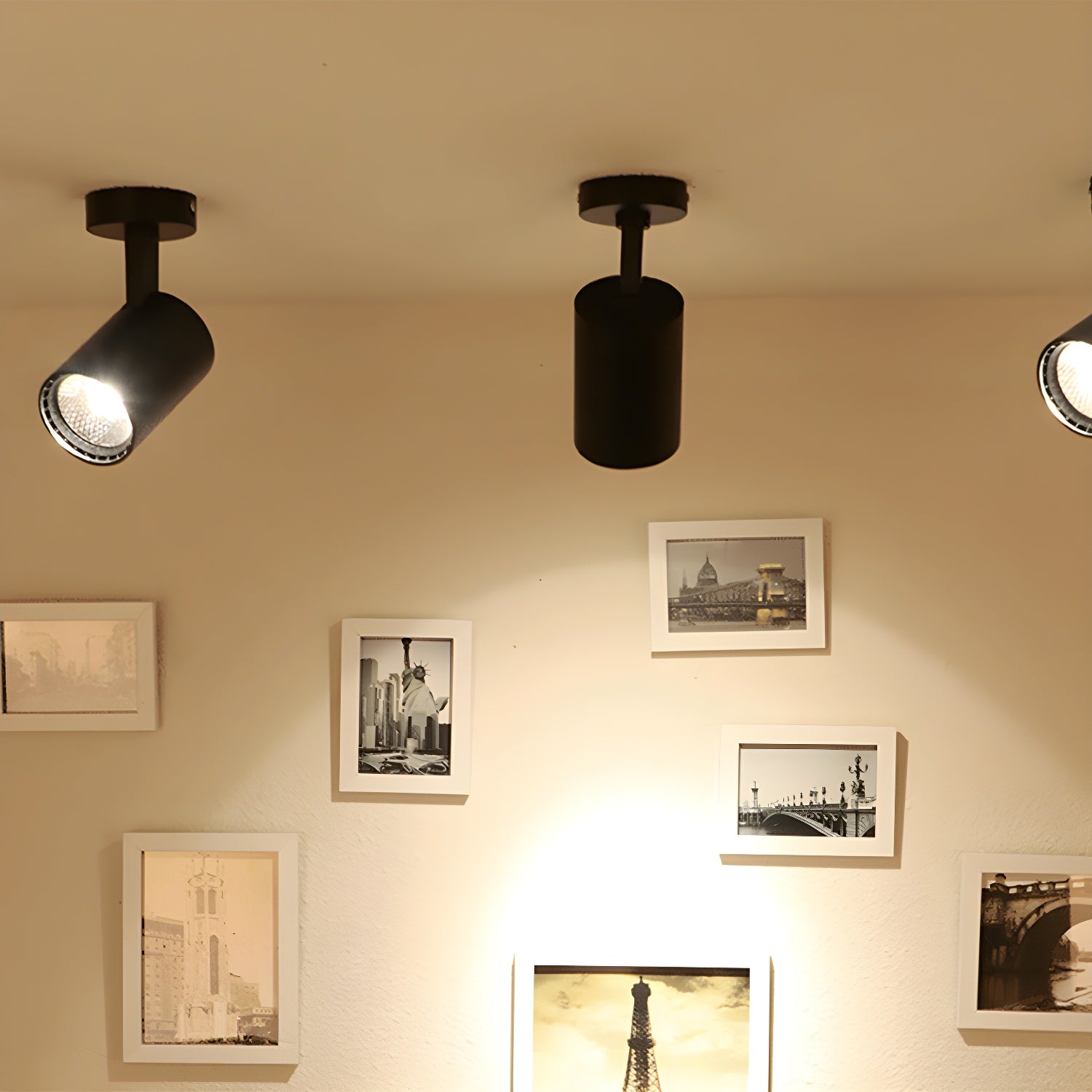 Calla Beam Spotlight - Lamp Outdoor