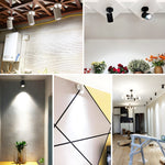 Calla Beam Spotlight - Lamp Outdoor