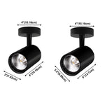 Calla Beam Spotlight - Lamp Outdoor