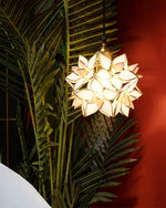 Capiz Pendant Lamp - Lamp Outdoor