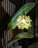 Capiz Pendant Lamp - Lamp Outdoor
