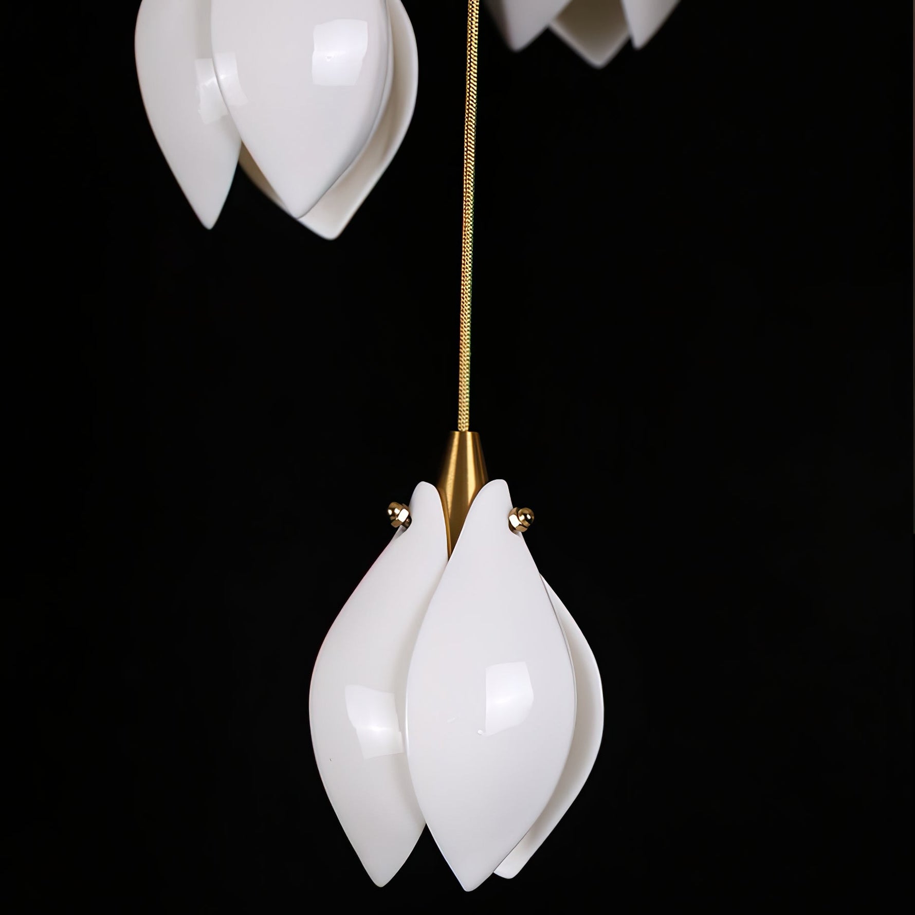 Celeste Flora Pendant Light - Lamp Outdoor