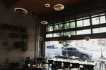 Chrona Dish Pendant Light - Lamp Outdoor