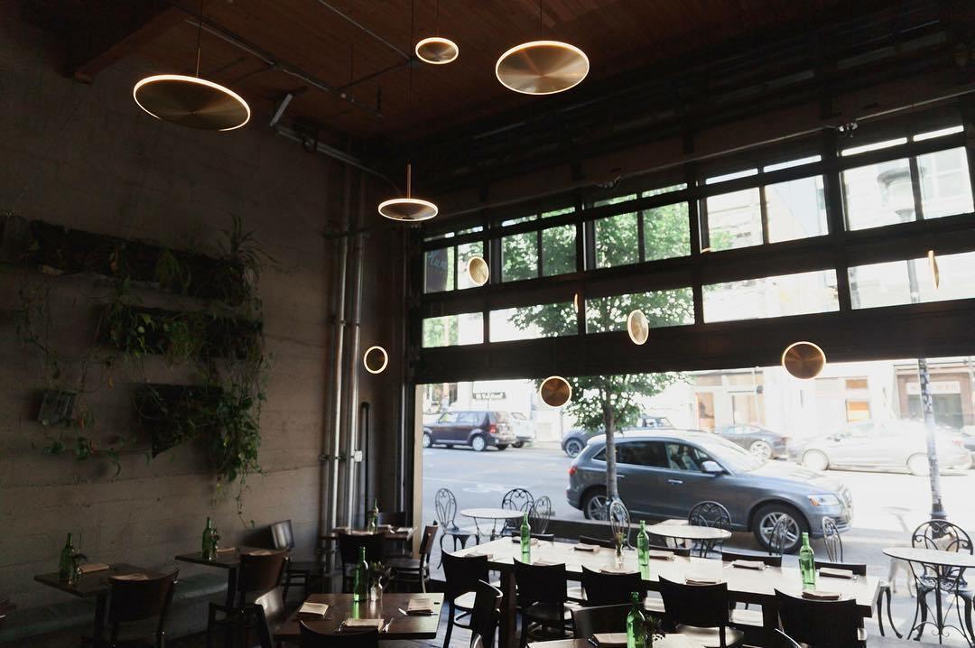 Chrona Dish Pendant Light - Lamp Outdoor